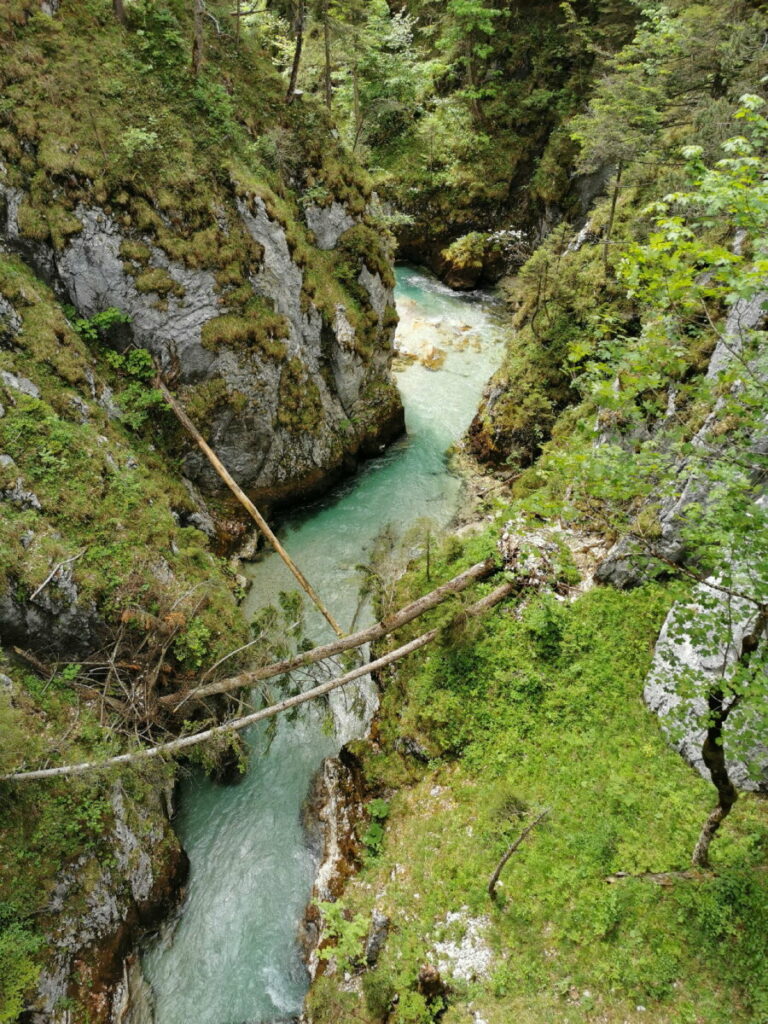 Entdecke diese tolle Landschaft an der Leutascher Ache