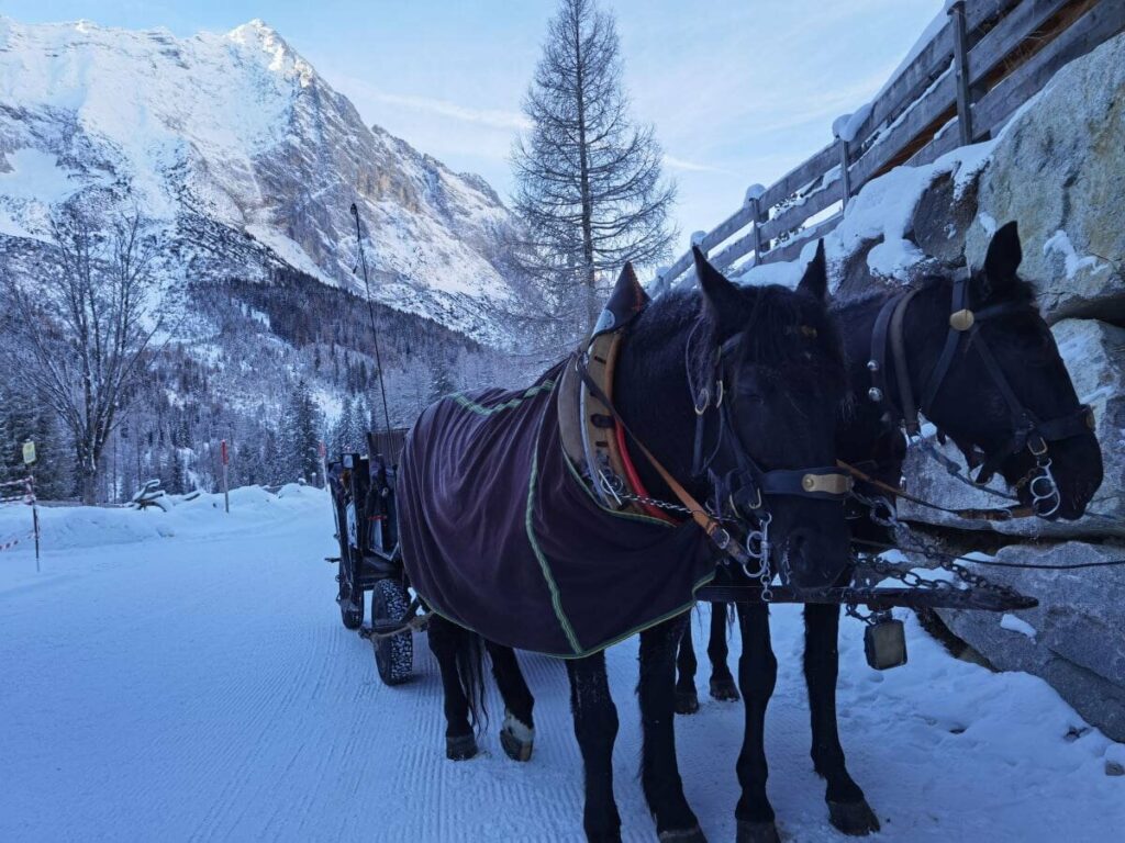 Wintermärchen: Mit der Kutsche zur Gaistalalm