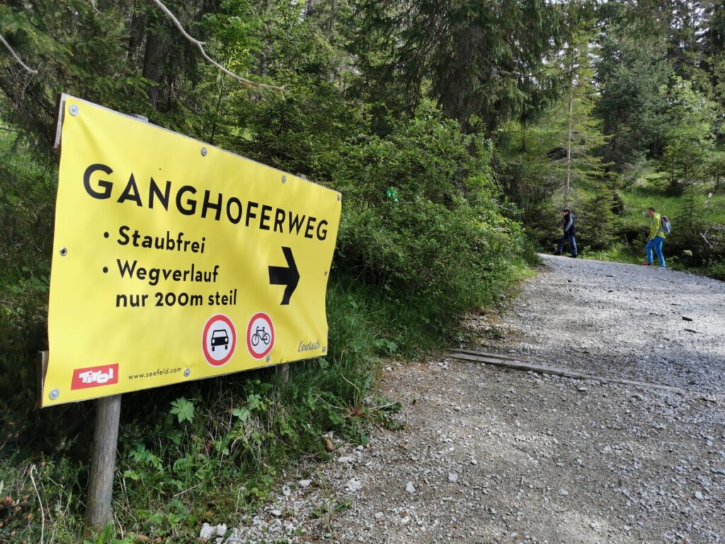 Die Abzweigung von der Forststraße auf den Ganghoferweg Leutasch