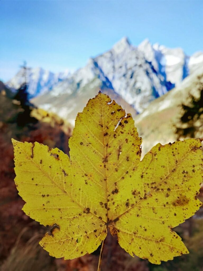 Herbst in Gnadenwald - auf dem Weg zur Ganalm