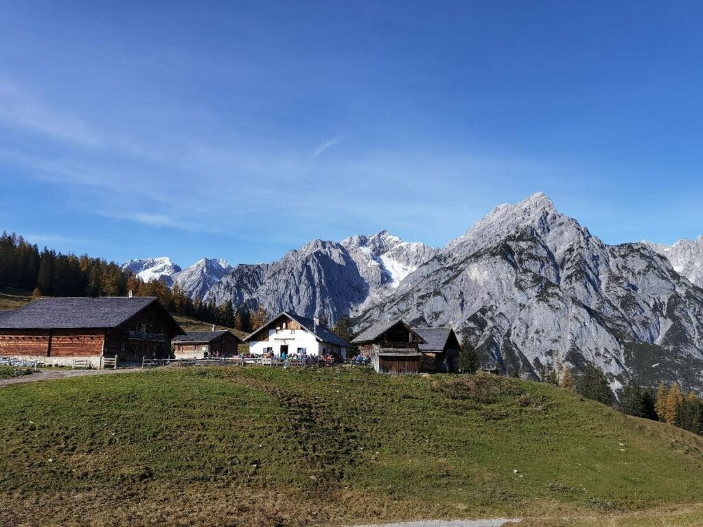 Die Walderalm in Gnadenwald, mit dem Karwendel