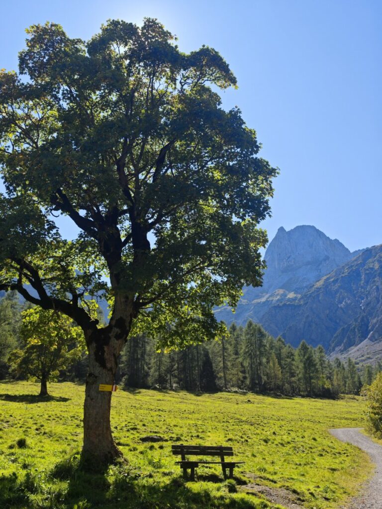 Gramai Hochleger