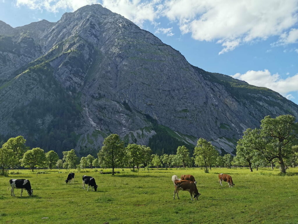 Abendstimmung im Karwendel - Großer Ahornboden 