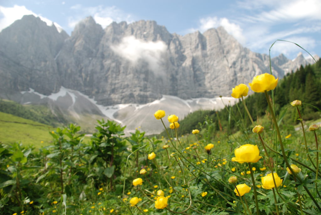Großer Ahornboden : Frühling in den Alpen - genieß mal das Frühlingserwachen in den Bergen!