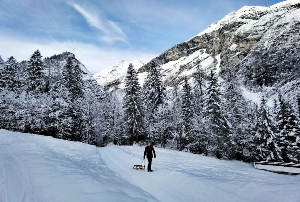Die Halltal Rodelbahn bietet eine einmalige winterliche Kulisse - und ist die steilste Rodelbahn im ganzen Karwendel
