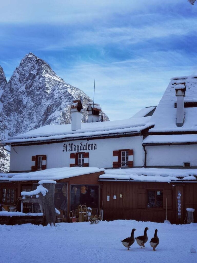 Halltal Rodelbahn mit Einkehr im ehemaligen Kloster St. Magdalena