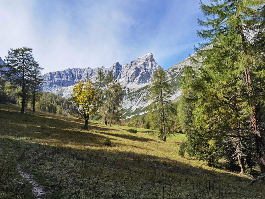 Das idyllische Halltal in Tirol