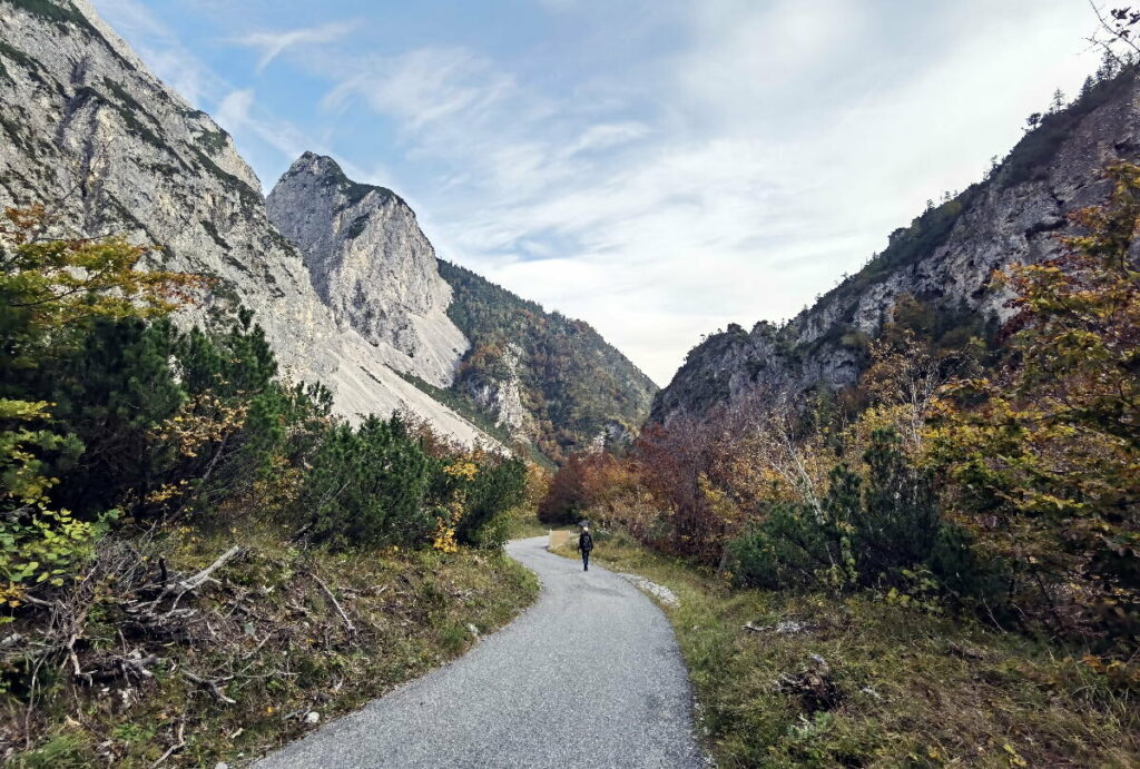 Die geteerte Halltalstraße führt vom Parkplatz am Eingangs ins Halltal bis ganz hinauf zu den Herrenhäusern