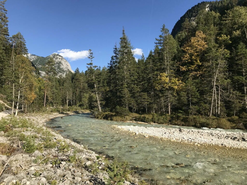 Herbsturlaub an der Isar - bei schönem Abendlicht