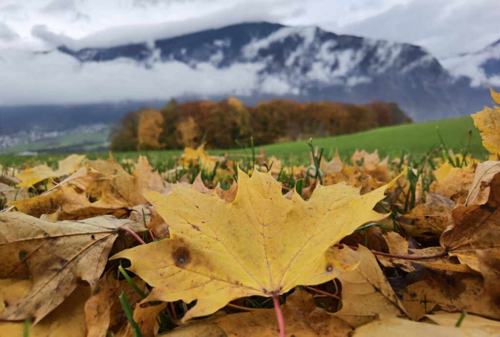 Herbstwanderung