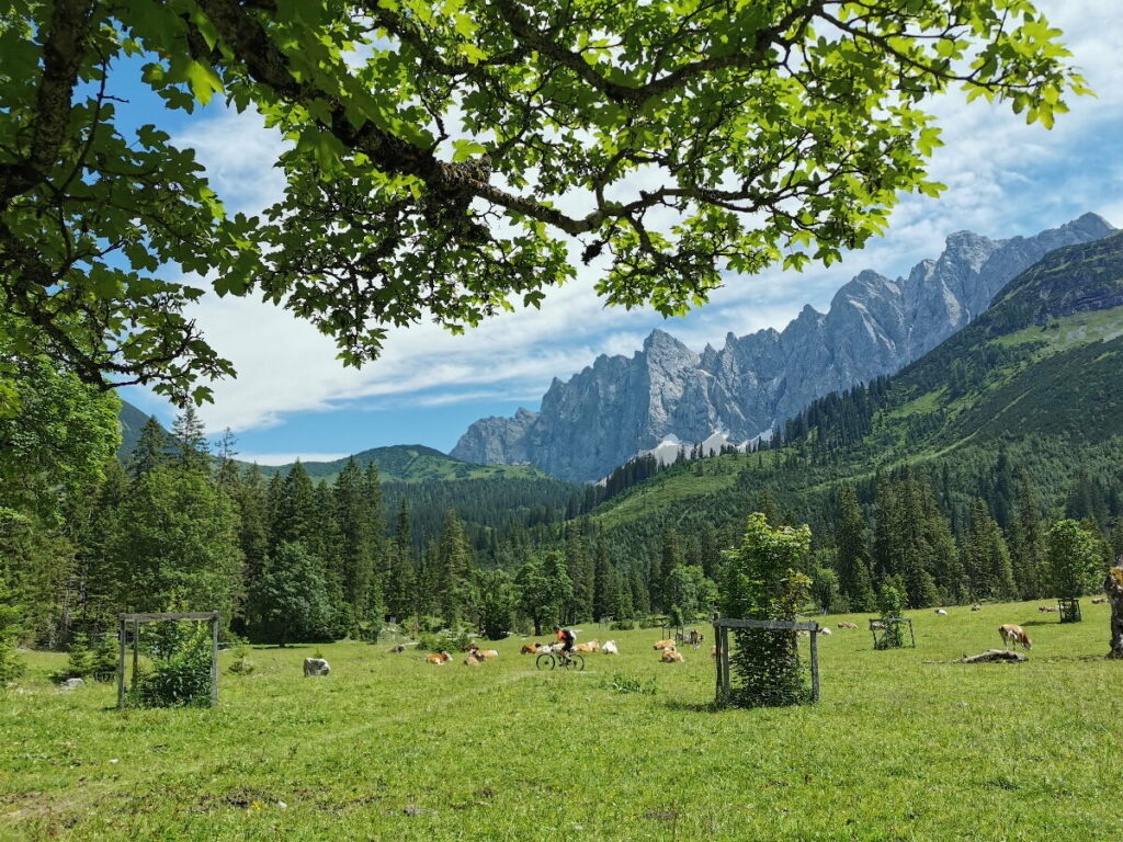 Ab Hinterriss wandern: Zum Kleinen Ahornboden