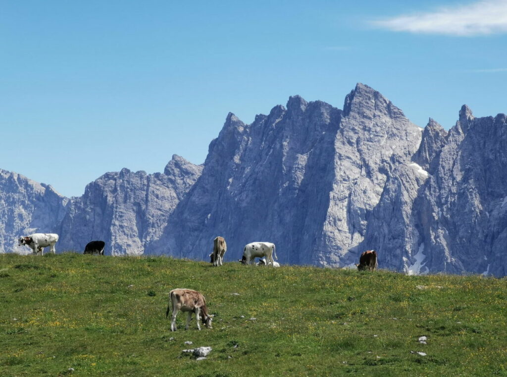 Der Hochalmsattel beim Karwendelhaus - zwischen Karwendeltal und kleiner Ahornboden, mit dem Blick zu den Laliderer Wänden