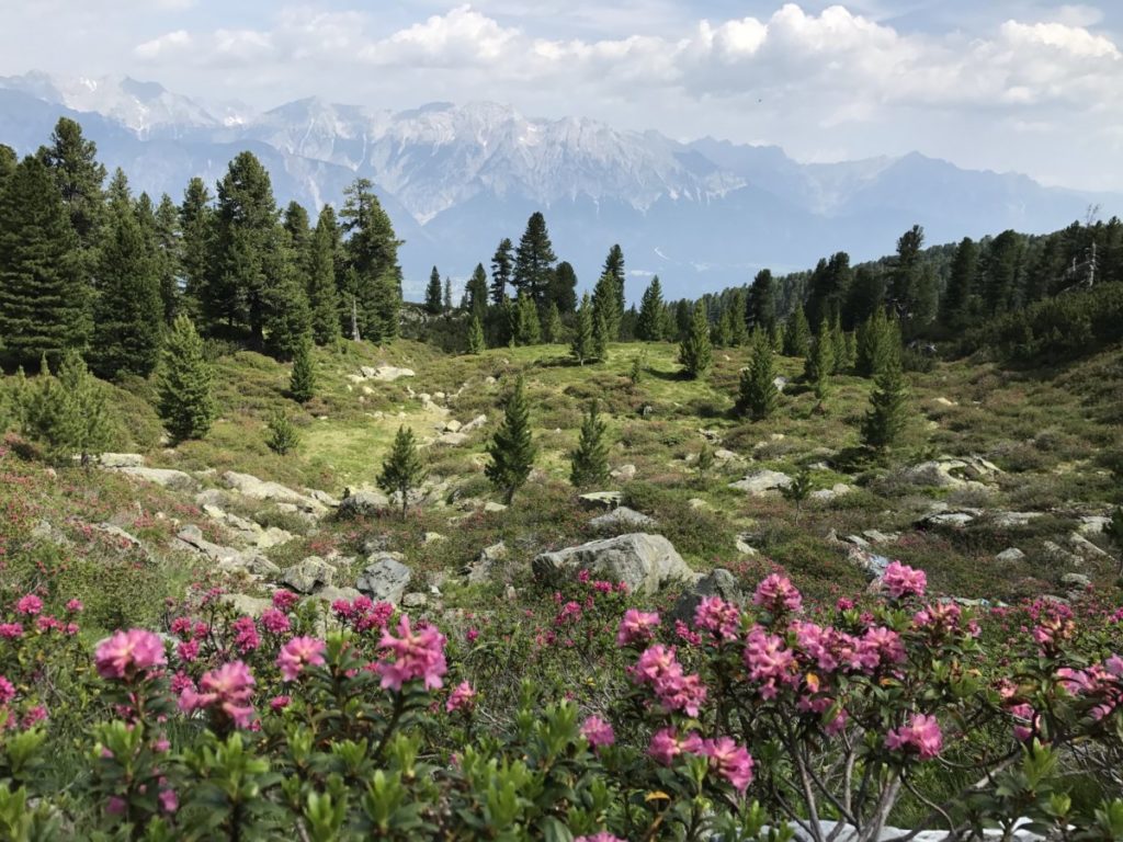 Hüttenwanderungen Innsbruck - der Inntaler Höhenweg mit bester Sicht auf das Karwendel