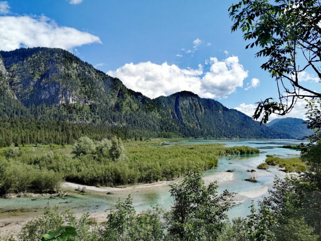 So schaut es im Sommer an der Isar aus, wo die Isar in den Sylvensteinsee mündet