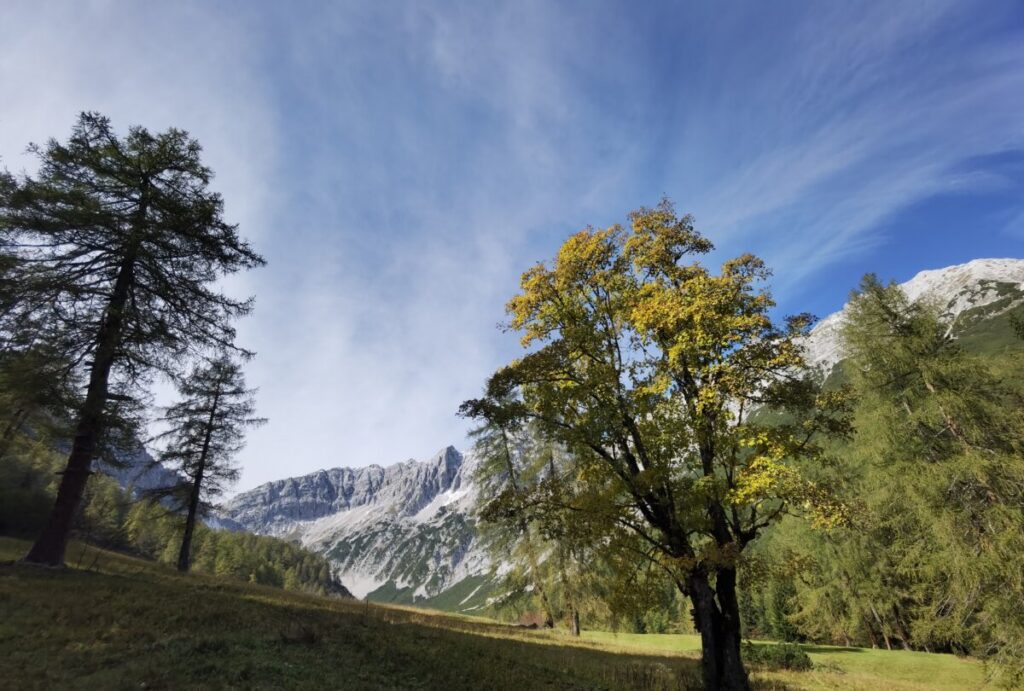 Im Herbst ist der Issanger allerdings ganz schön schattig