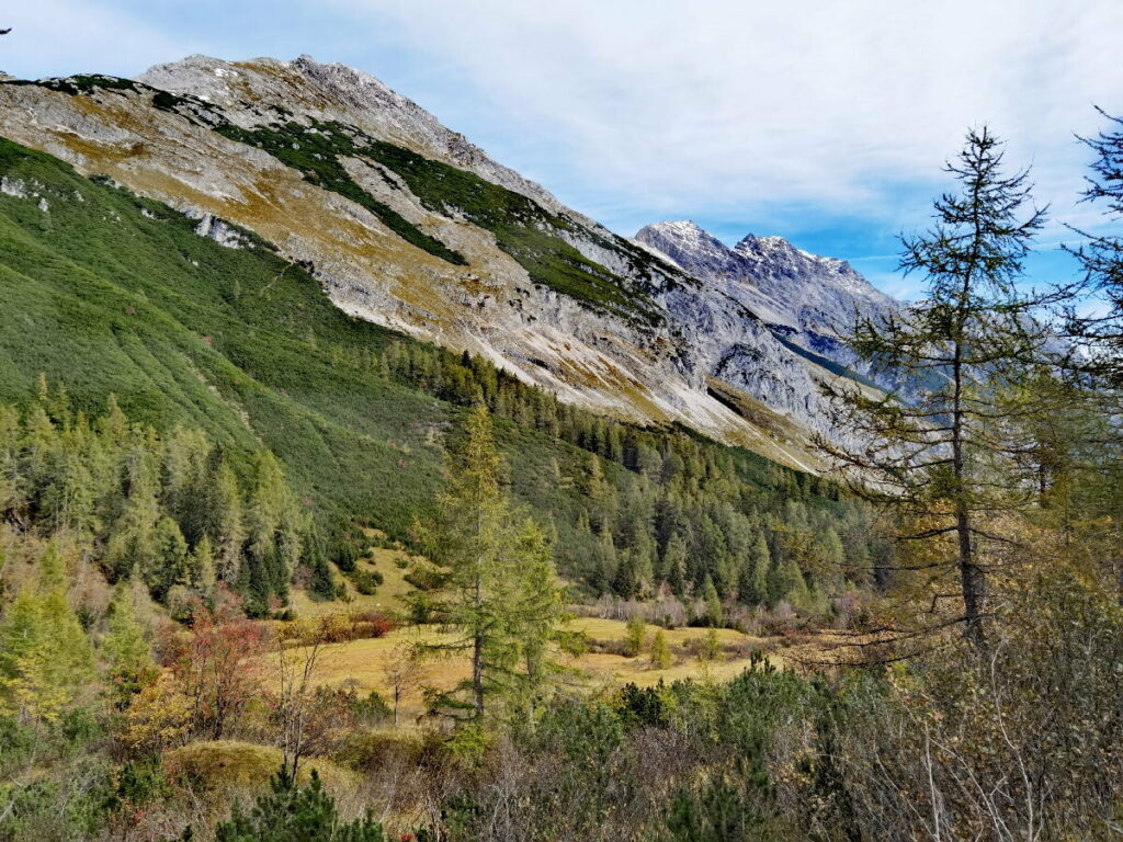  Ein schöner Ort: Der Issanger, weit oben im Halltal, noch oberhalb der Herrenhäuser im Karwendel  