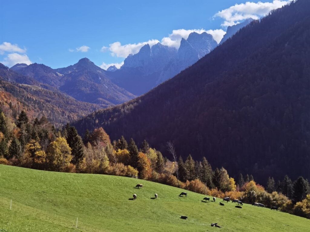 Das Kaisergebirge im Herbst