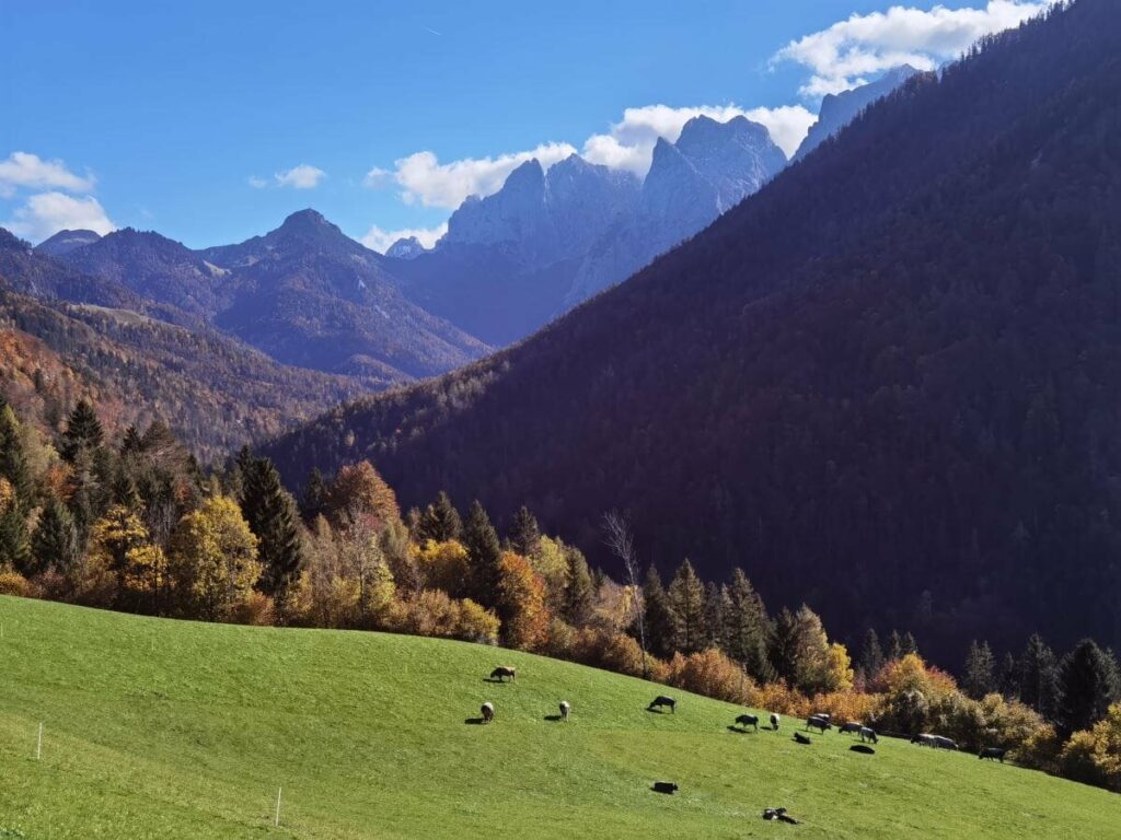 Das Kaisergebirge ist ein Juwel in den Alpen mit fast 300 Quadratkilometer Berge zwischen Kufstein, Ellmau, St. Johann und Kössen