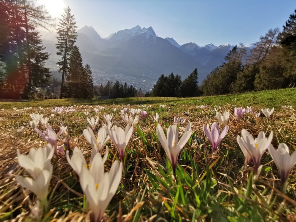 Karwendel Urlaub im Frühling - eine tolle Zeit, die nur wenige Besucher nutzen
