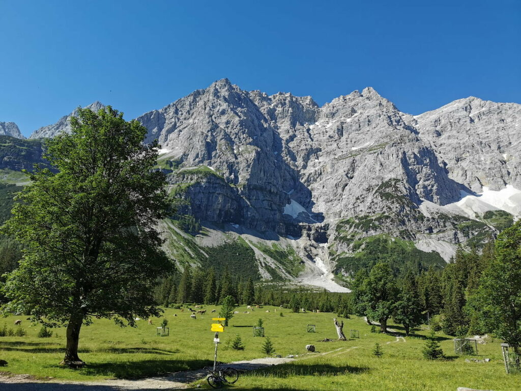 Kleiner Ahornboden - vergleich mal die kleinen Kühe mit den Bergen, dann erkennst du die wahren Größenverhältnisse!