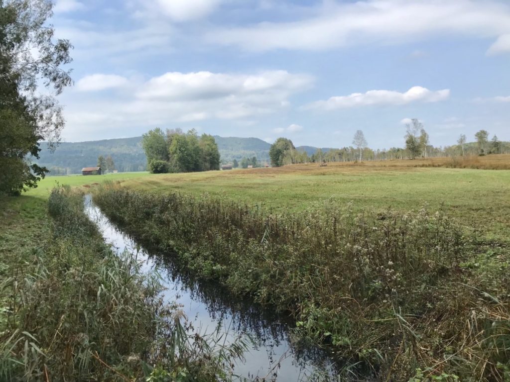 Das Kochelsee Moos bei Benediktbeuern