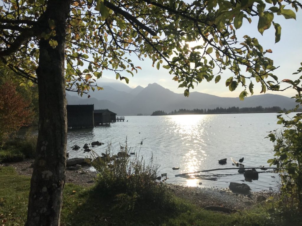 Am Kochelsee baden mit Bergblick