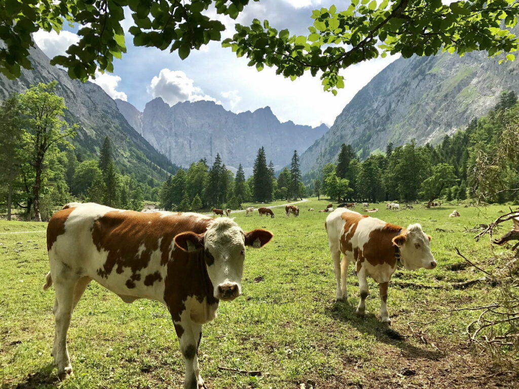 Der Blick aus dem Laliderertal auf die Lalidererwände