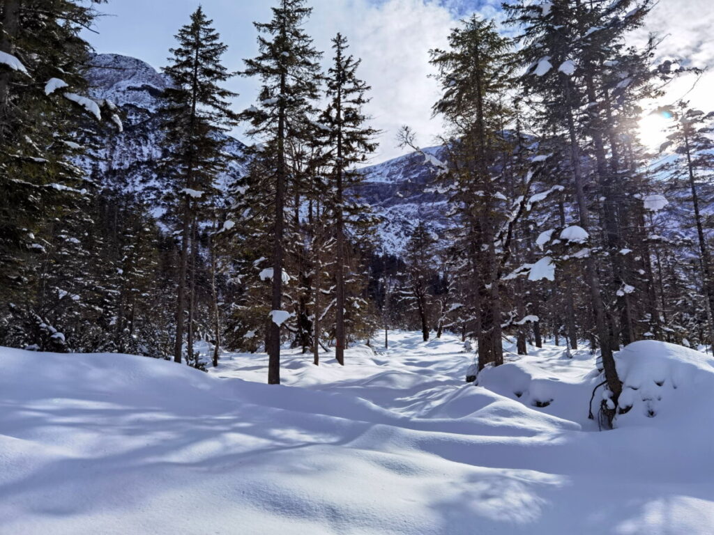 Am Achensee Langlaufen und in den verschneiten Winterwald schauen - herrlich entspannend