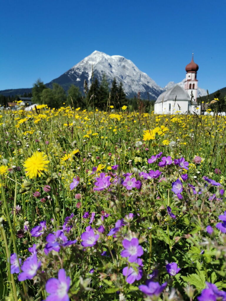 Sommer in der Leutasch - Idylle wie im Bilderbuch