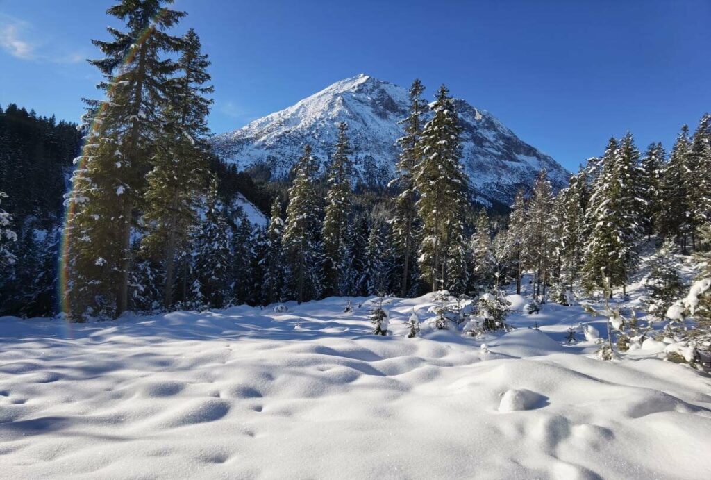 Winterwonderland am Start der Winterwanderung in der Leutasch - Blick über den Wald auf die Hohe Munde