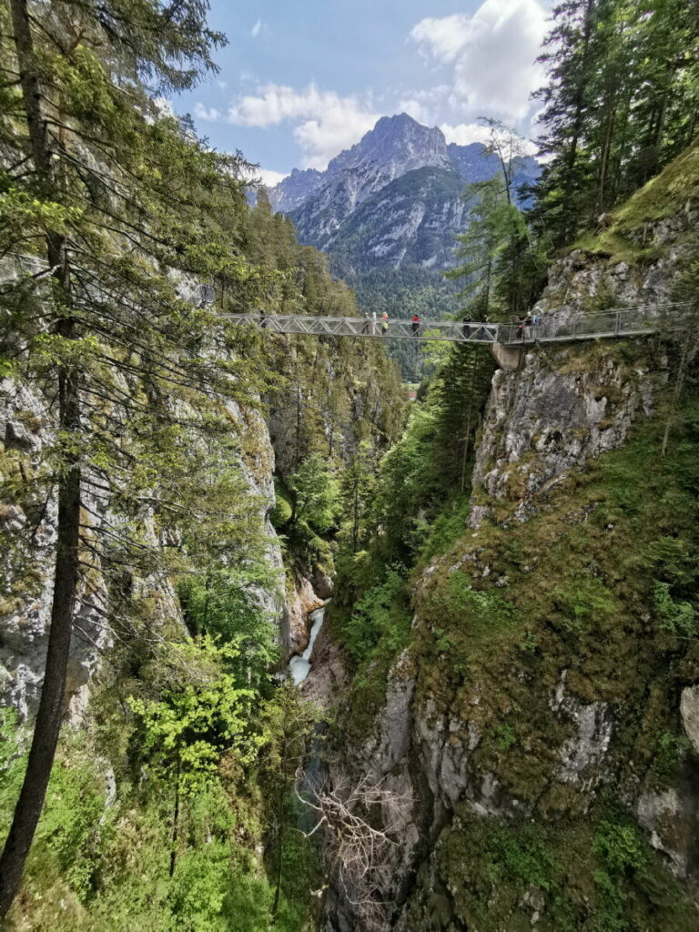 Blick auf die Leutaschklamm mit Leutascher Ache, Hängebrücke und Karwendel