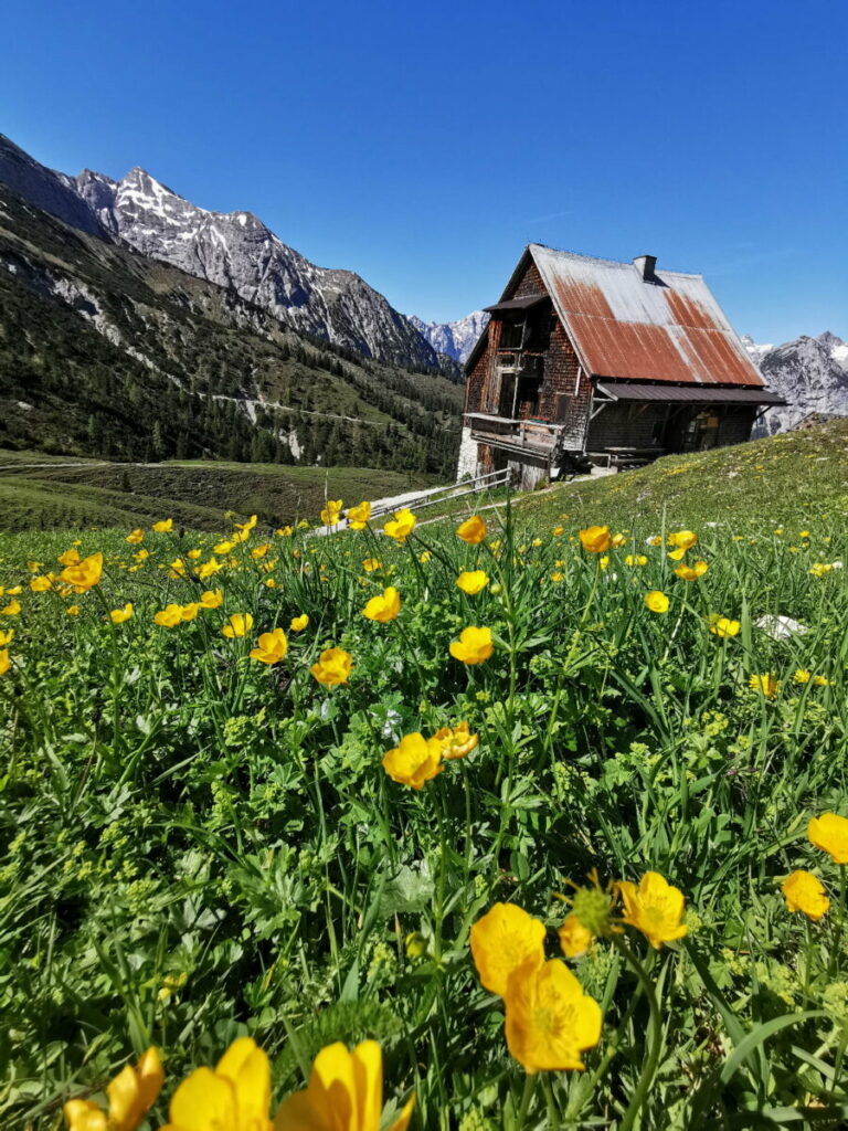 MTB Achensee: Anspruchsvolle Tour, aber Traumlage - die Plumsjochhütte