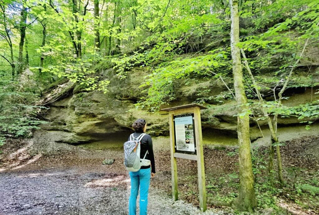 Die Maisinger Schlucht ist geprägt vom Nagelfluhgestein