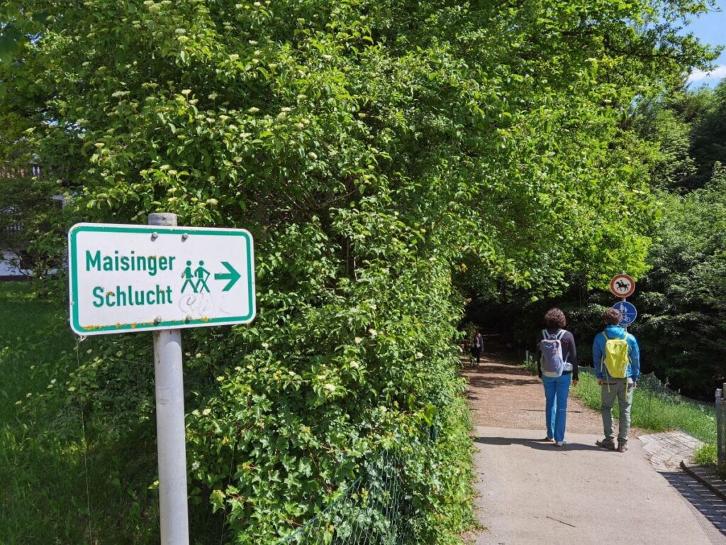 Maisinger Schlucht wandern