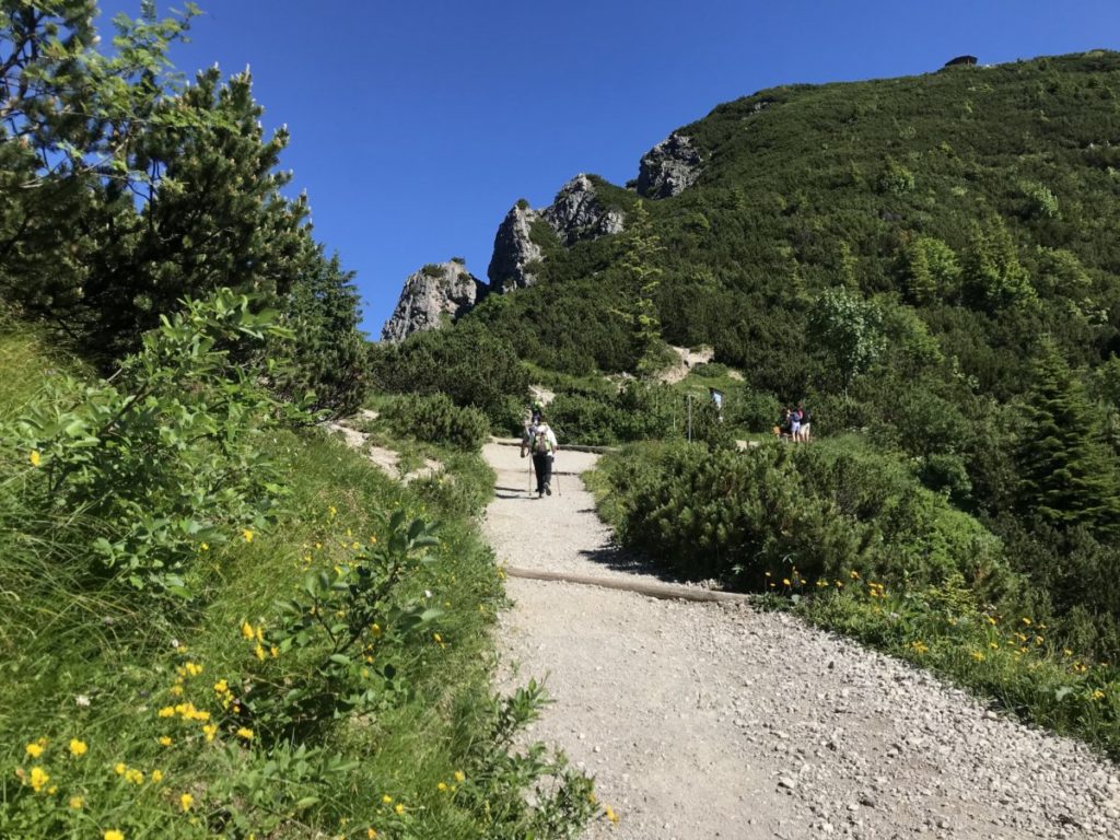 Beim Martinskopf wandern