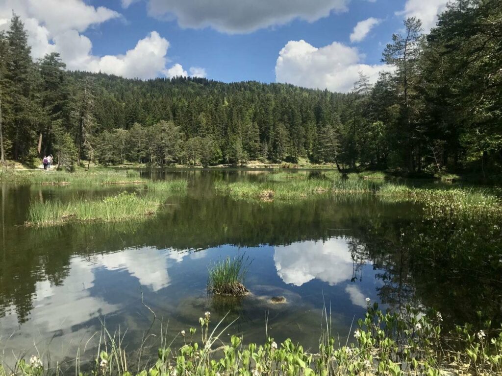 Der Möserer See - warmer Badesee in Tirol zwischen Telfs und Seefeld