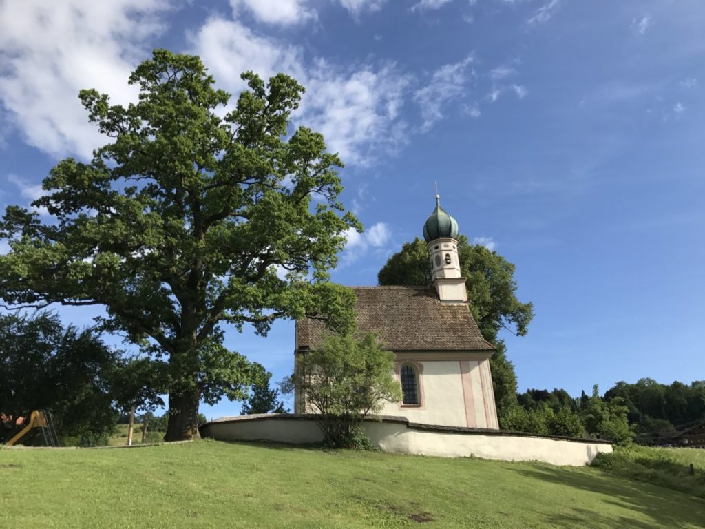 Das Ähndl am Murnauer Moos