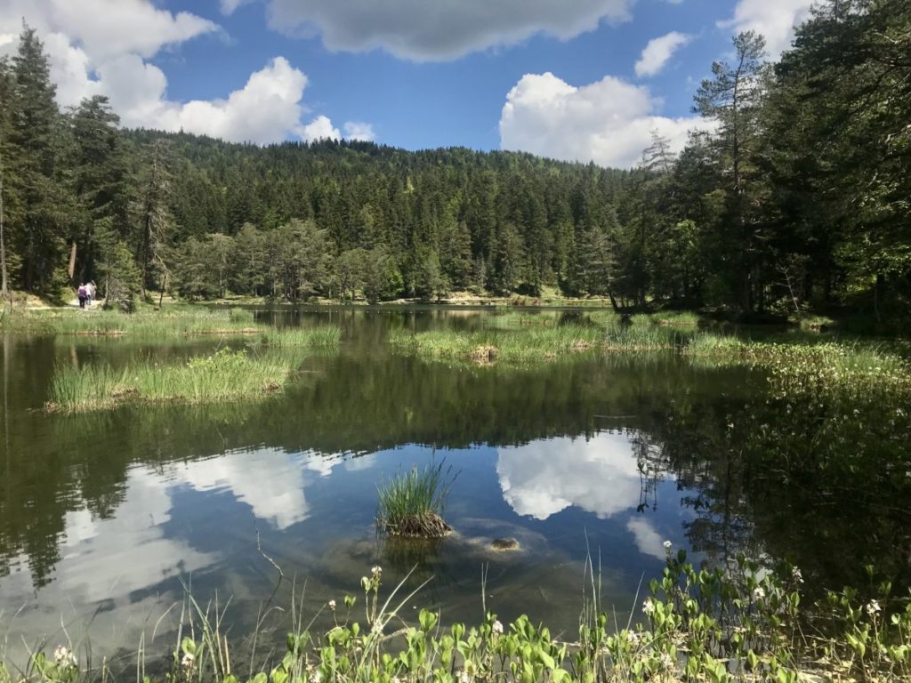 Um den Möserer See wandern