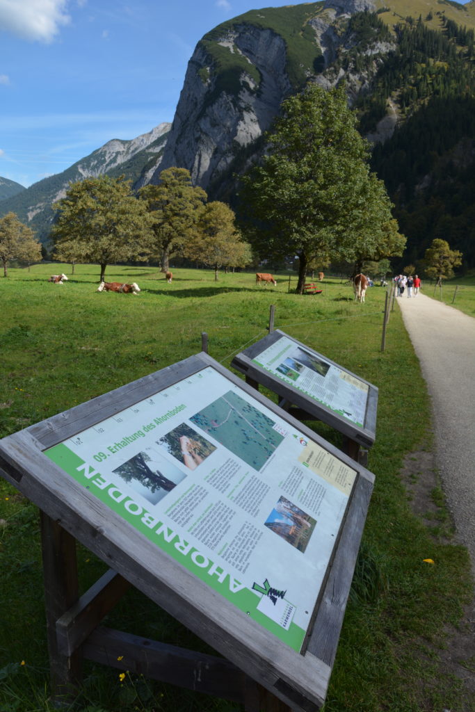 Das ist der kurze Naturlehrpfad vom Parkplatz zur Engalm