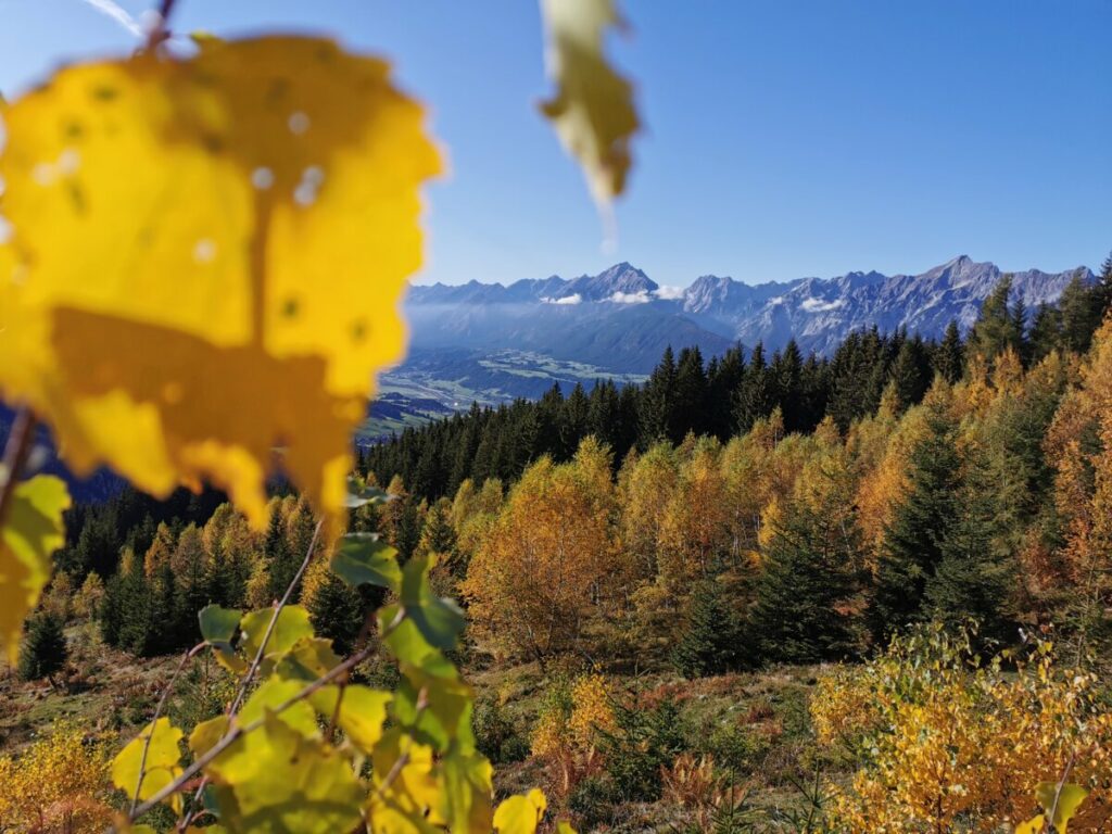 Pill Österreich - so farbig ist der Herbst am Kellerjoch