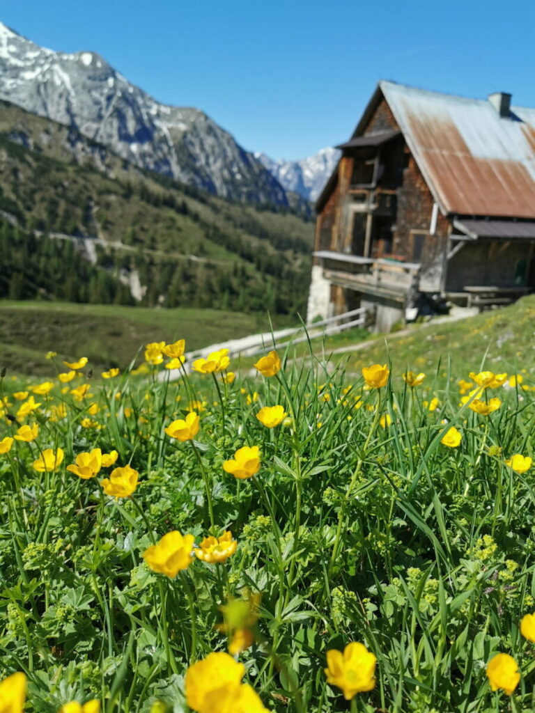 Plumsjoch im Frühling