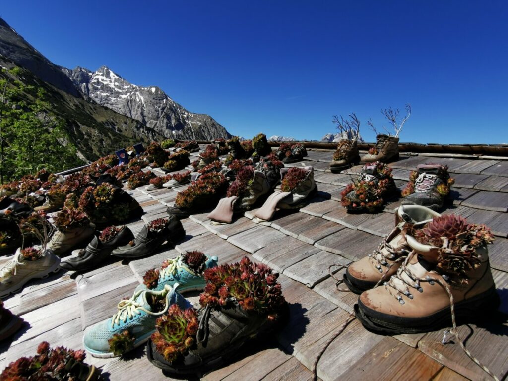 Einmalig ist das Dach - beschwert von Wanderschuhen, in denen Pflanzen wachsen