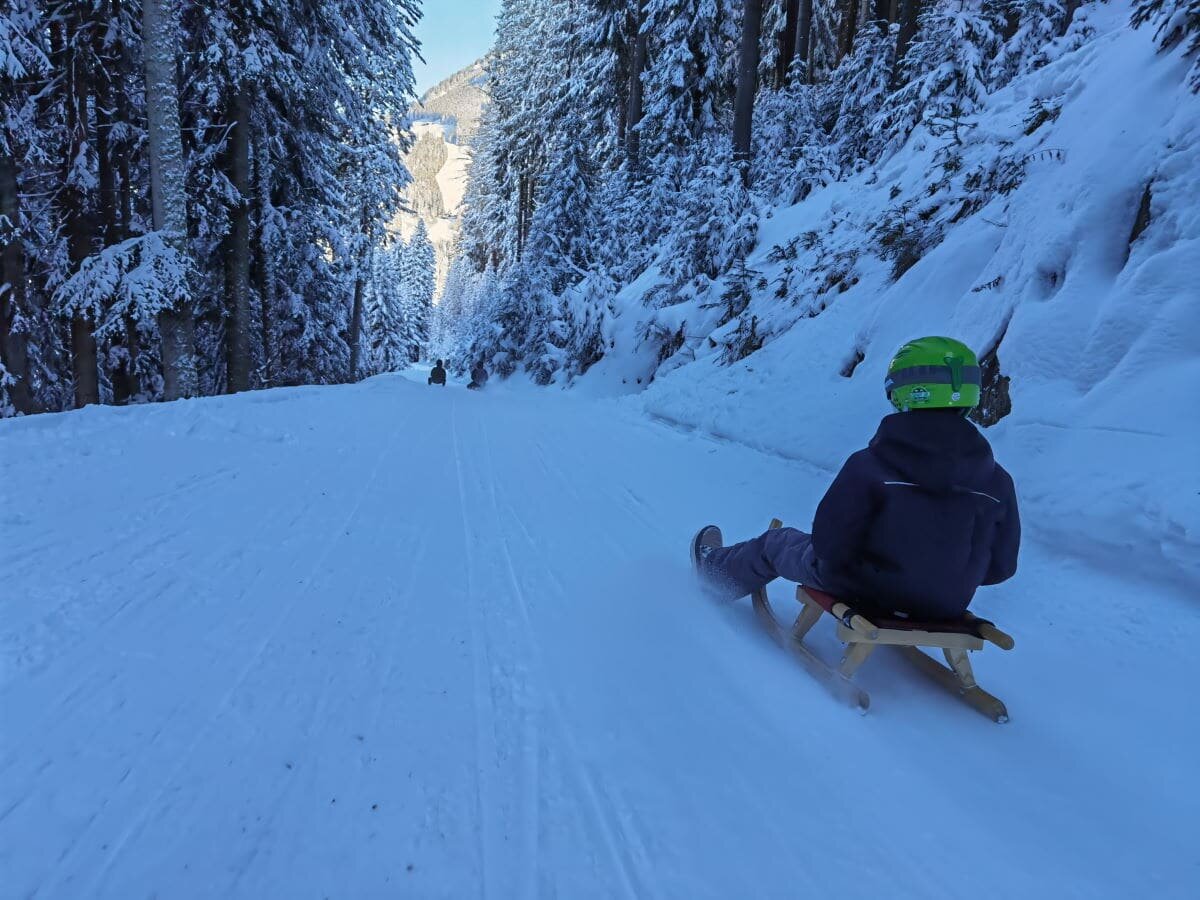 Schlitten und Rodel für Erwachsene und Kinder im Winter