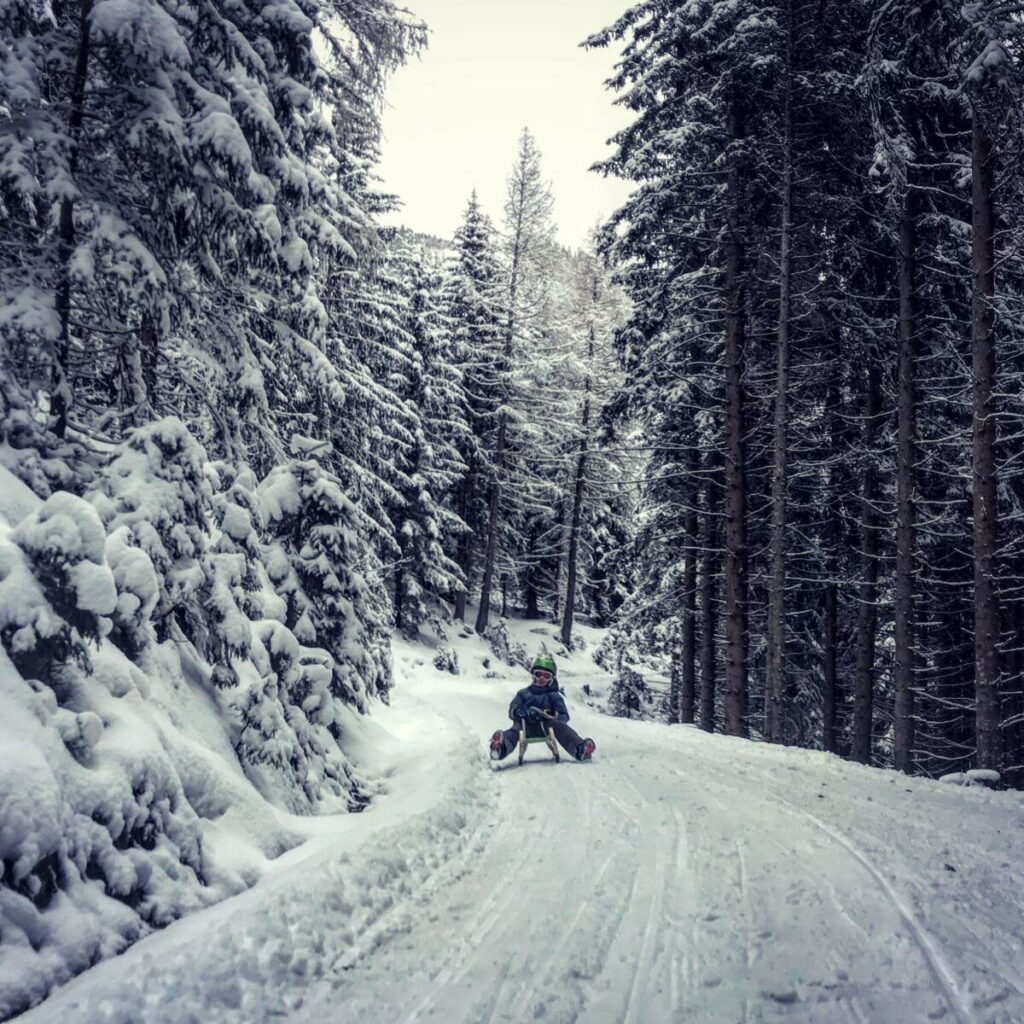 Rodeln Tegernsee - und diese Winterlandschaft geniessen!