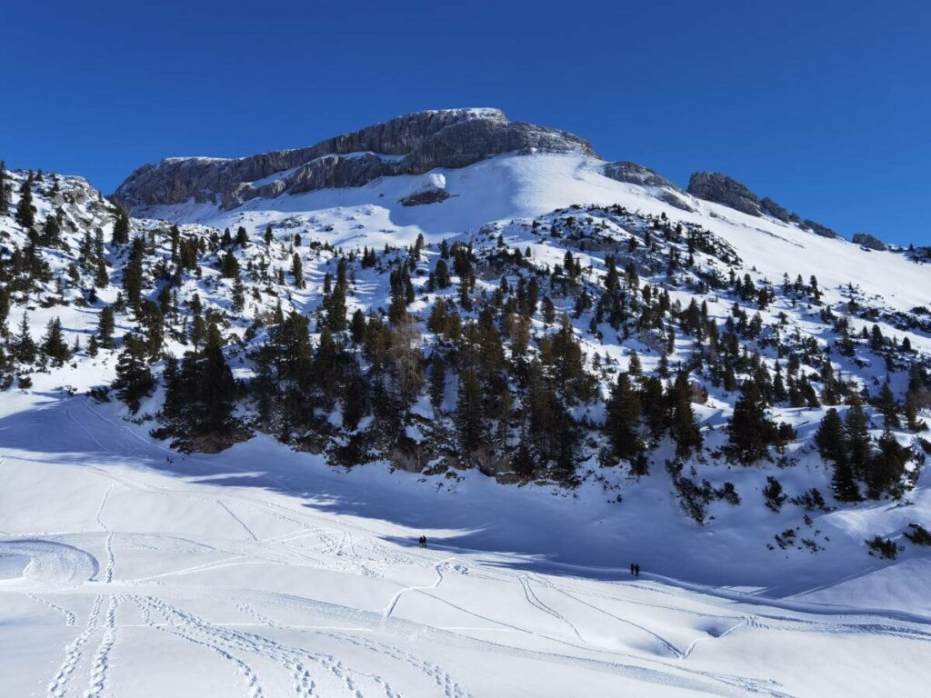 Im Rofan schneeschuhwandern - das hügelige Gelände ist ideal dafür