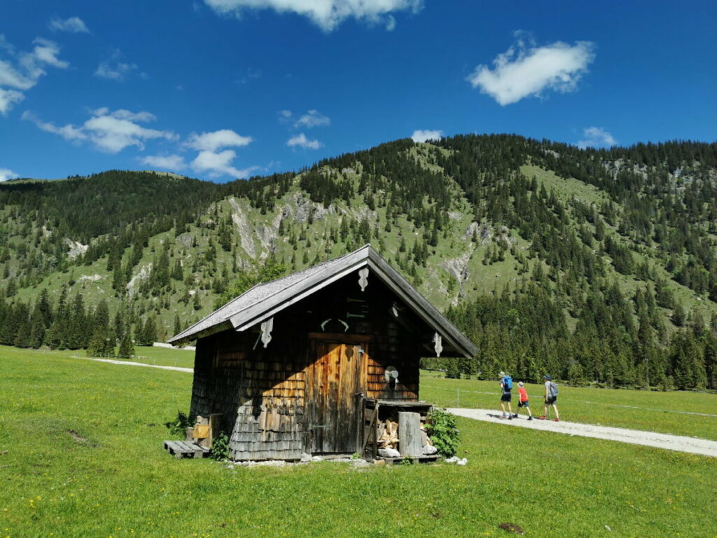 Toller Almboden, oben im Rontal