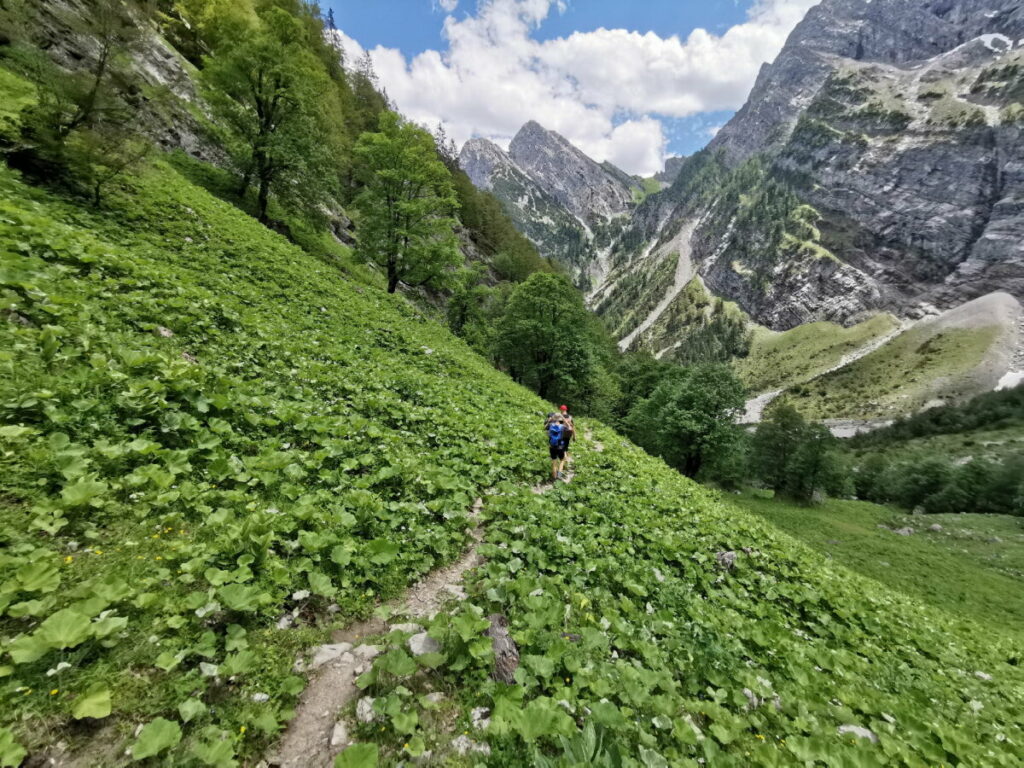 Auf unserer Rontal Tortal Runde