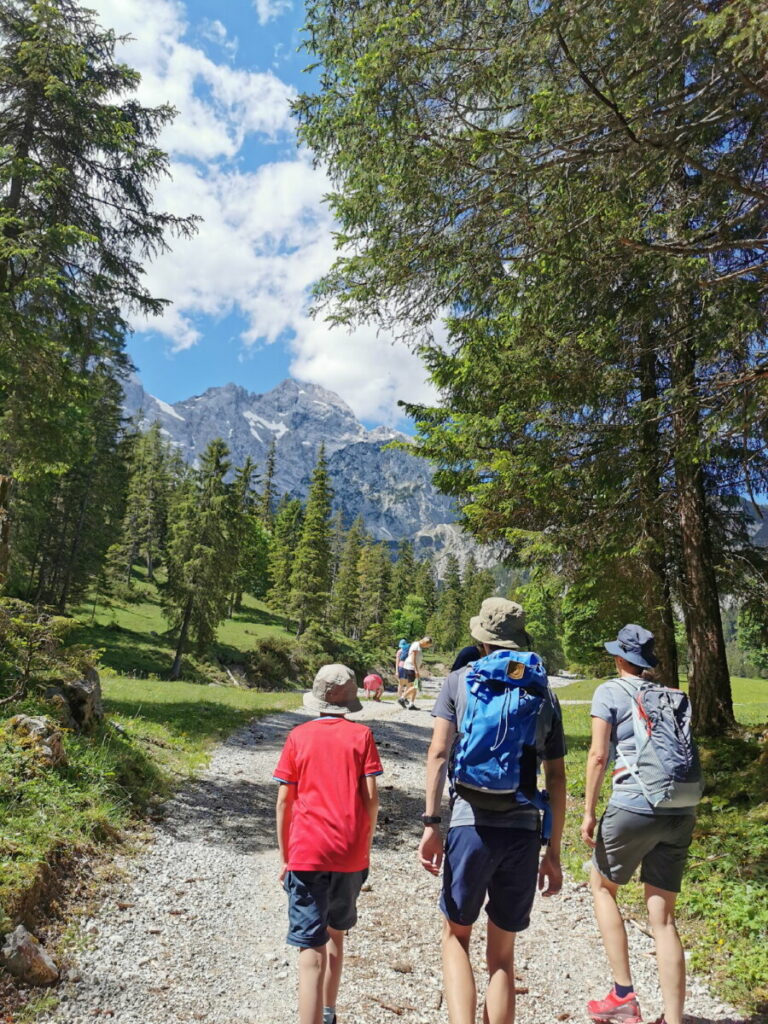 Unten führt die Wanderung durchs Rontal im Wald - oben bei der Rontalalm lichtet sich der Wald