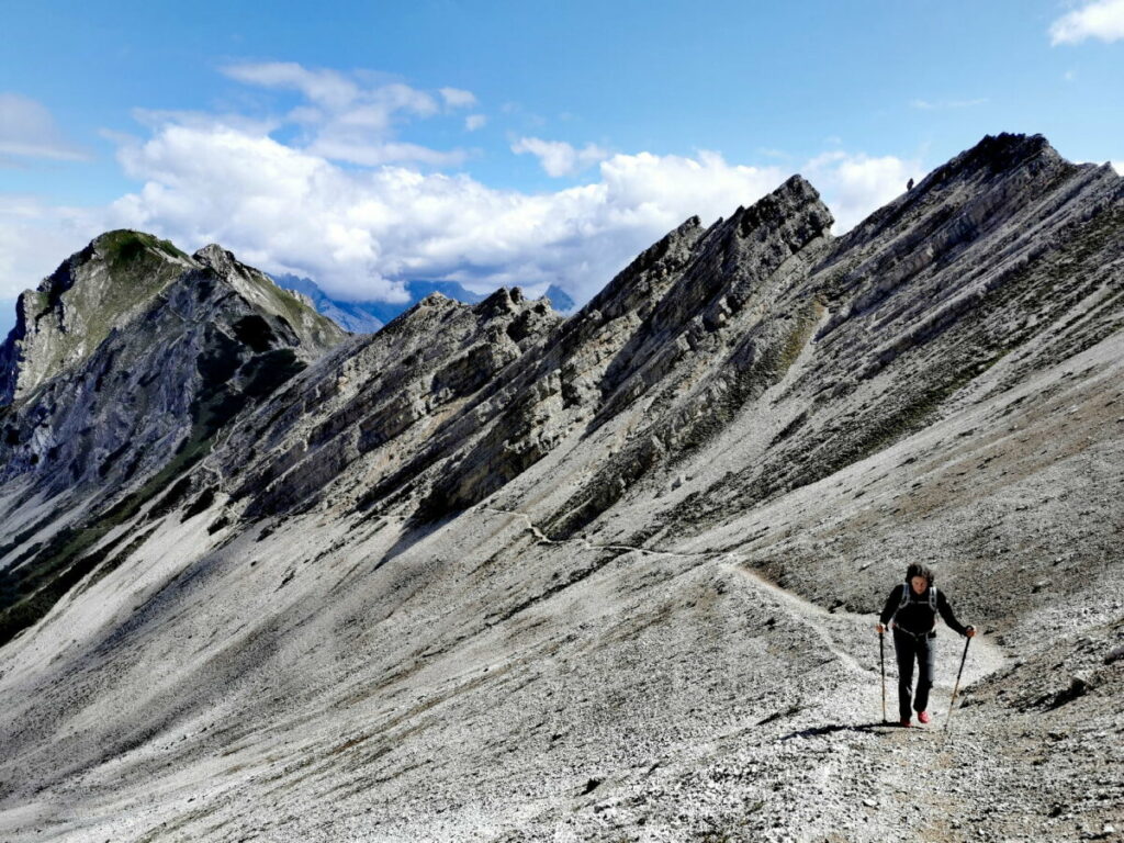 Wildes Karwendel - bei der Wanderung Richtung Härmelekopf