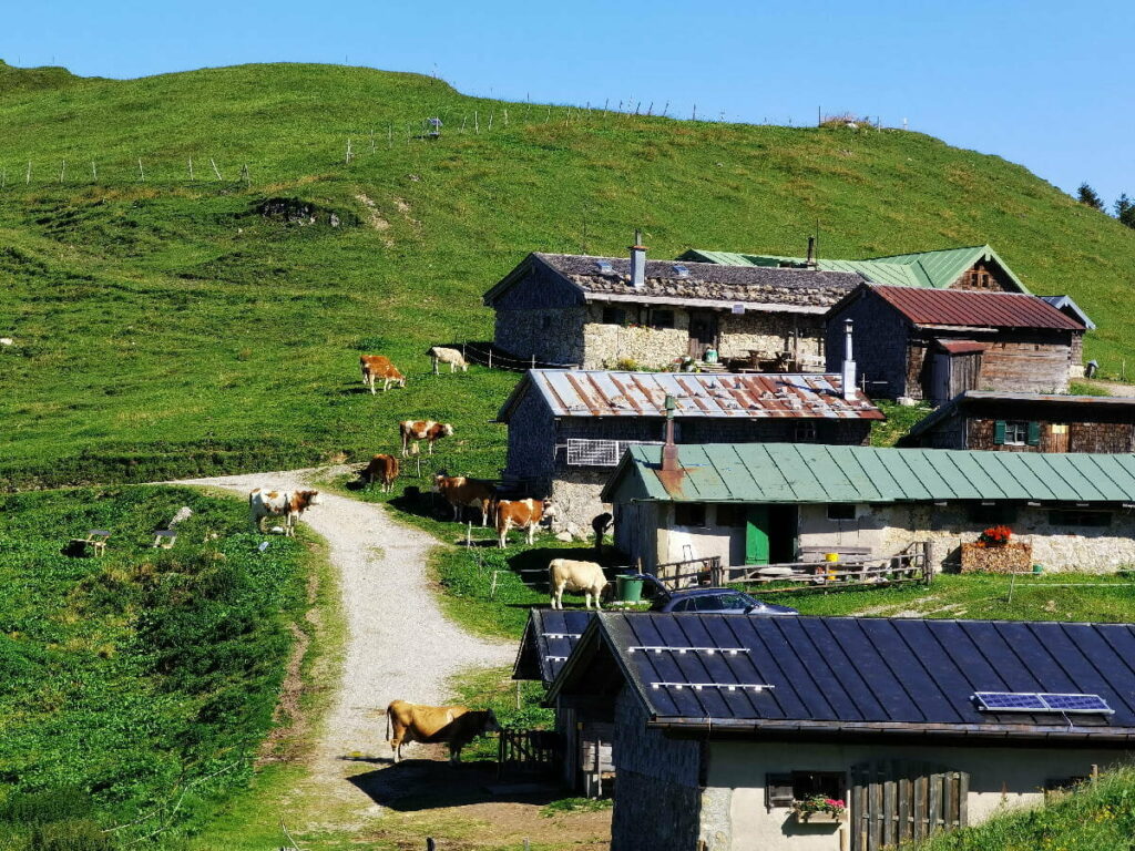 Unterhalb der Tegernseer Hütte sind wir an der Roßsteinalm vorbei gekommen